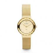 Skagen Women's 456SGSG Gold plated With Swarovski Elements Watch